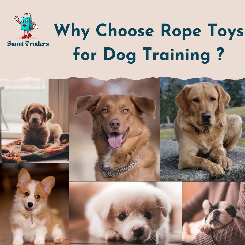 Why Choose Rope Toys for Dog Training