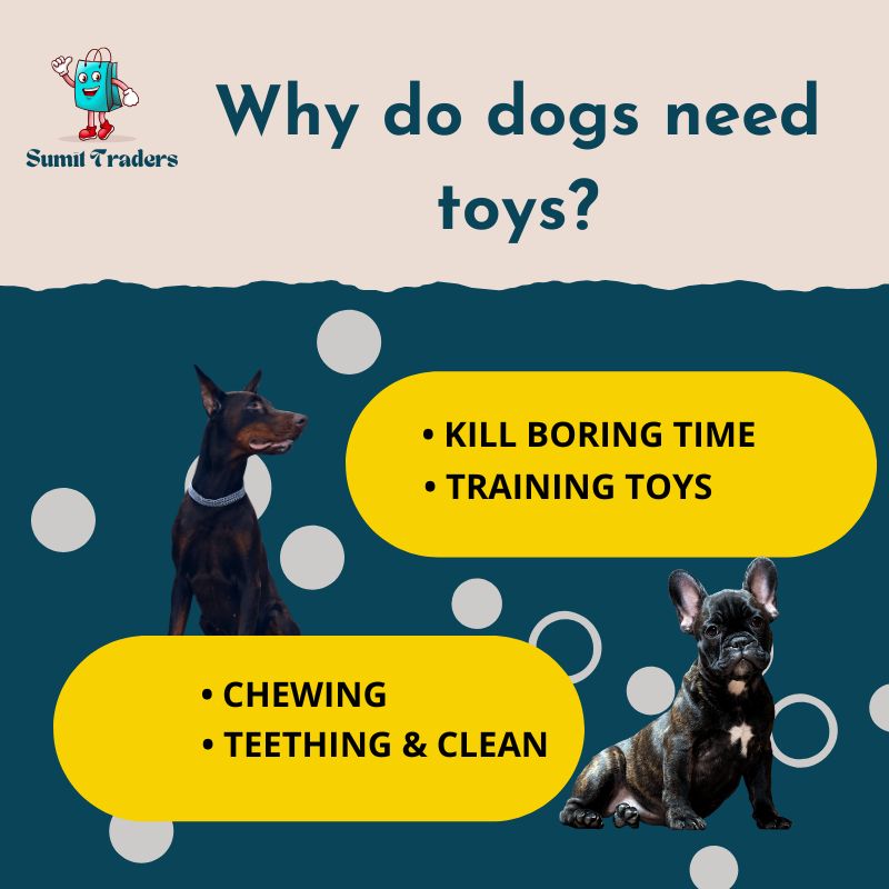 Why do dogs need toys?