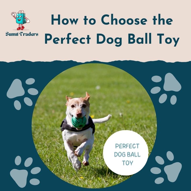 How to Choose the Perfect Dog Ball Toy