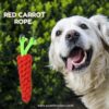 Rope Chew Carrot Toy Red |  Red Carrot Dog toys - Image 4